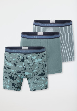 Shorts 3er-Pack Organic Cotton Dinos Ringel grün - 95/5