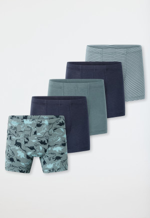 Shorts 5er-Pack Organic Cotton Dinos Ringel grün/ blau - 95/5