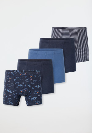 Shorts 5er-Pack Organic Cotton Eisbären Ringel blau - 95/5
