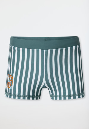 Costume da bagno Single Jersey SPF40+ strisce minerali - Aqua