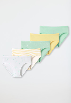Slips 5er-Pack Organic Cotton Softbund Ringel Libellen mehrfarbig - Cat Zoe