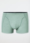 Shorts Organic Cotton patterned khaki - 95/5