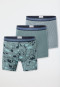 Shorts 3er-Pack Organic Cotton Dinos Ringel grün - 95/5