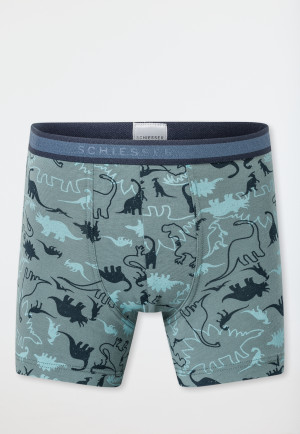 Shorts 3er-Pack Organic Cotton Dinos Ringel grün - 95/5