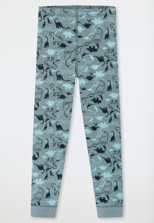 Unterhose lang 2er-Pack Organic Cotton Dinos blau/ grün - 95/5