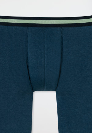 mutande in cotone organico a strisce blu notte - 95/5 Organic