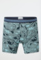 Shorts 3er-Pack Organic Cotton Dinos Ringel grün - 95/5