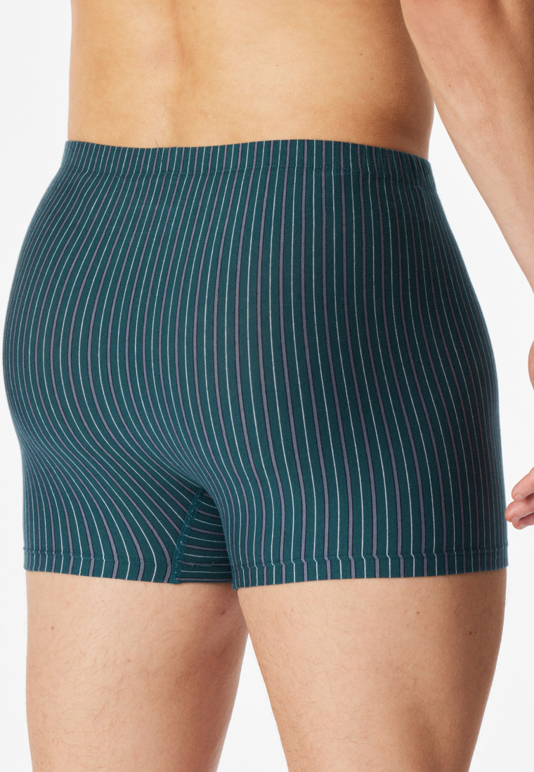 Lot de 3 shorts en coton bio uni/rayé multicolore - 95/5