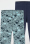 Unterhose lang 2er-Pack Organic Cotton Dinos blau/ grün - 95/5