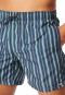 Badeshorts Webware Streifen lime - Aqua